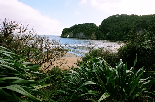 Image forCharter boats desperately needed in New Zealand!